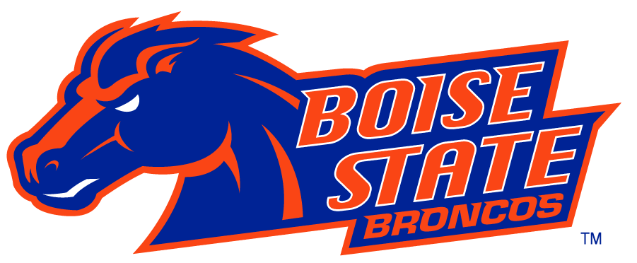 Boise State Broncos 2002-2012 Secondary Logo v23 t shirts iron on transfers